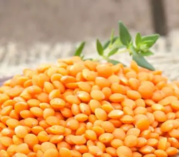 Pulses Manufacturer